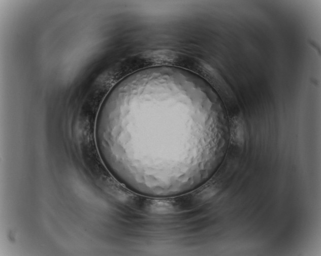 X0000103450573200809191751