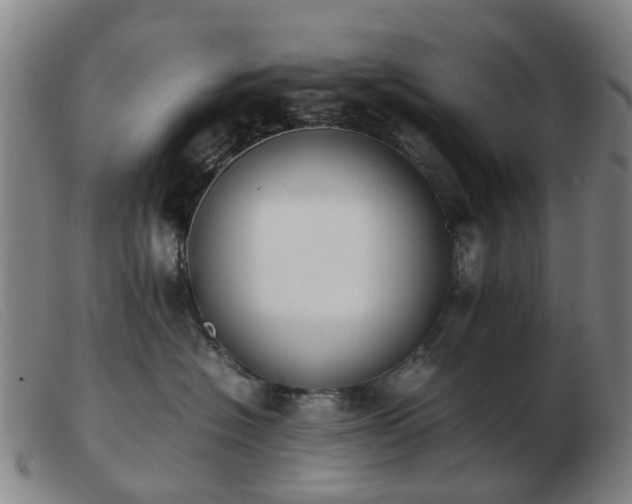 X0000103450574200809191751