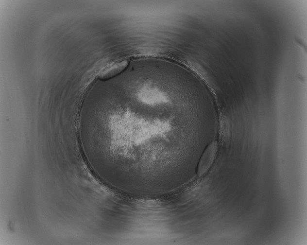 X0000103450577200809191750