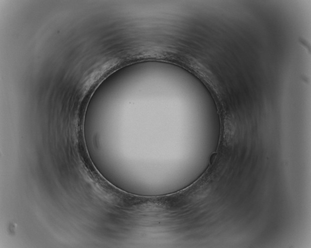 X0000103450578200809191750