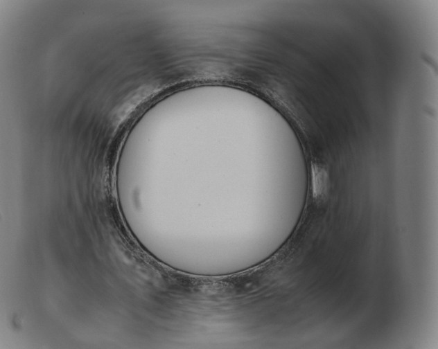 X0000103450579200809191750
