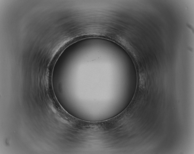 X0000103450580200809191750