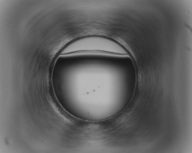 X0000103450581200809191750