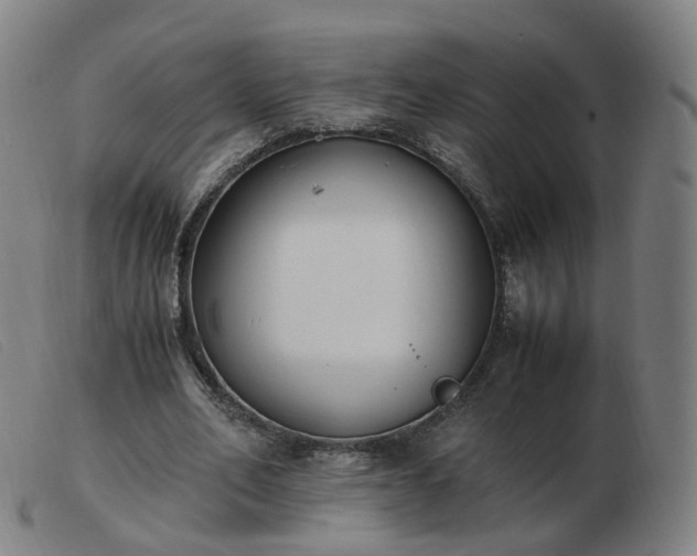 X0000103450582200809191750