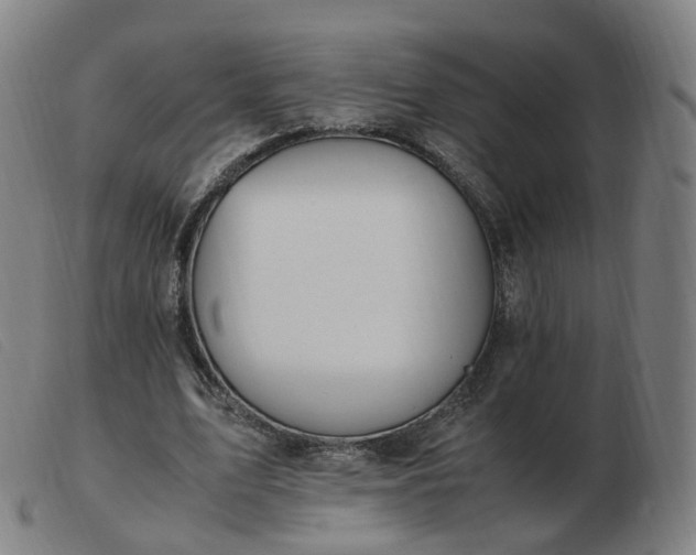 X0000103450583200809191750
