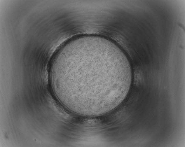 X0000103450584200809191750