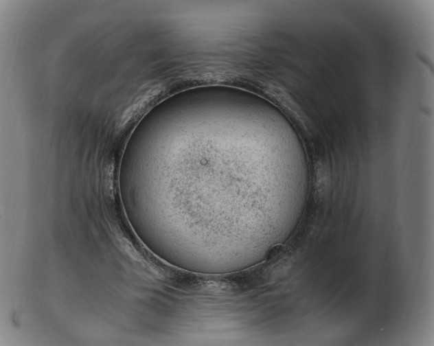 X0000103450585200809191750