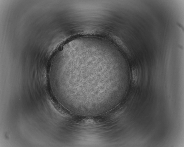 X0000103450588200809191750