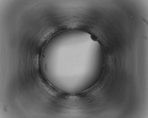X0000103450590200809191750
