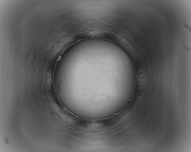 X0000103450593200809191750