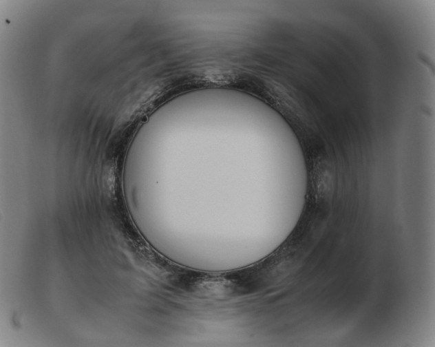 X0000103450595200809191750