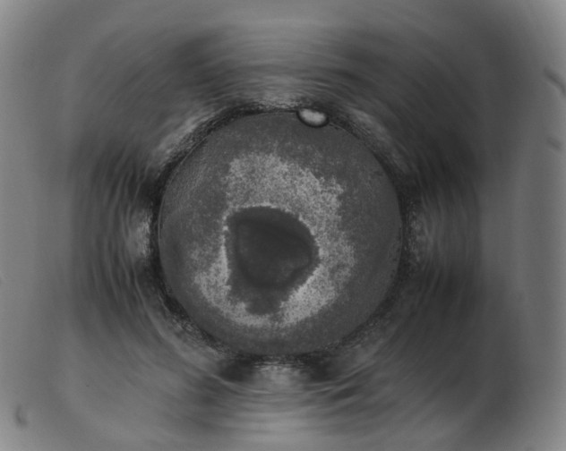 X0000103450596200809191750