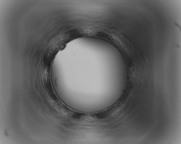 X0000103450597200809191750