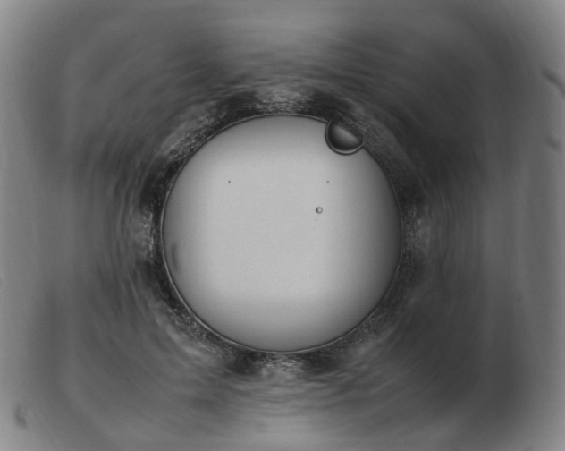 X0000103450599200809191750