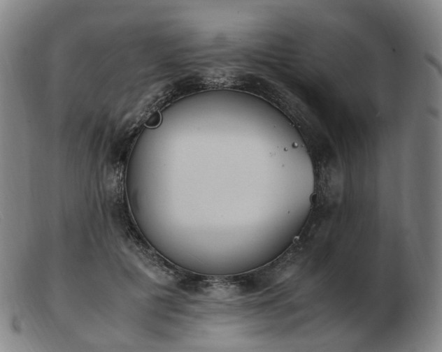 X0000103450601200809191750