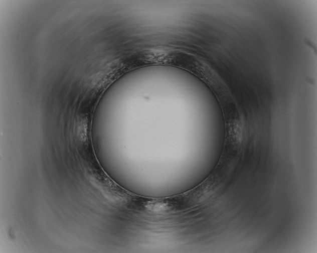 X0000103450602200809191750