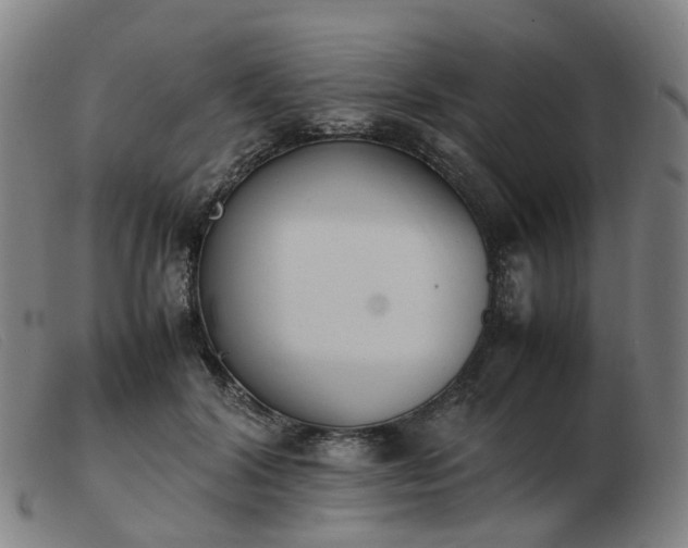 X0000103450604200809191749