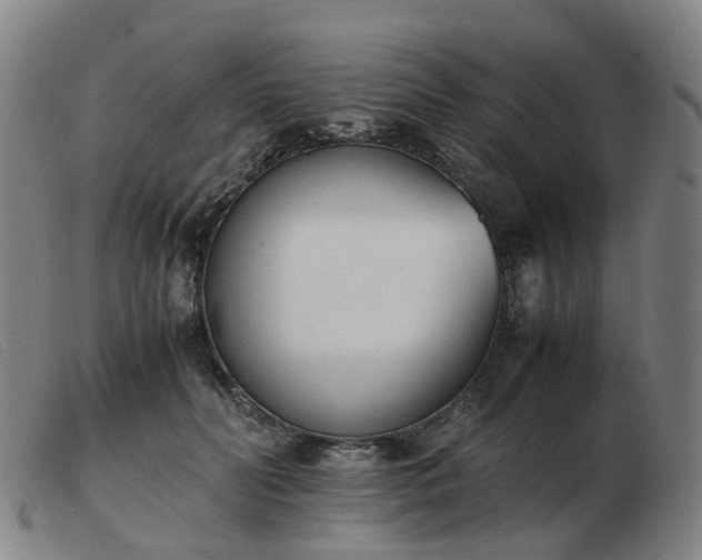 X0000103450606200809191749