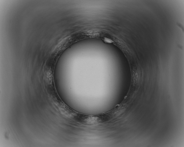 X0000103450609200809191749