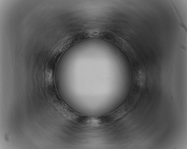 X0000103450610200809191749