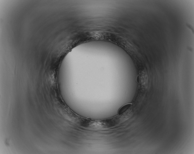 X0000103450611200809191749