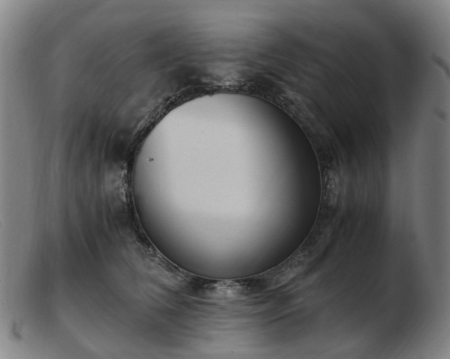 X0000103450612200809191749