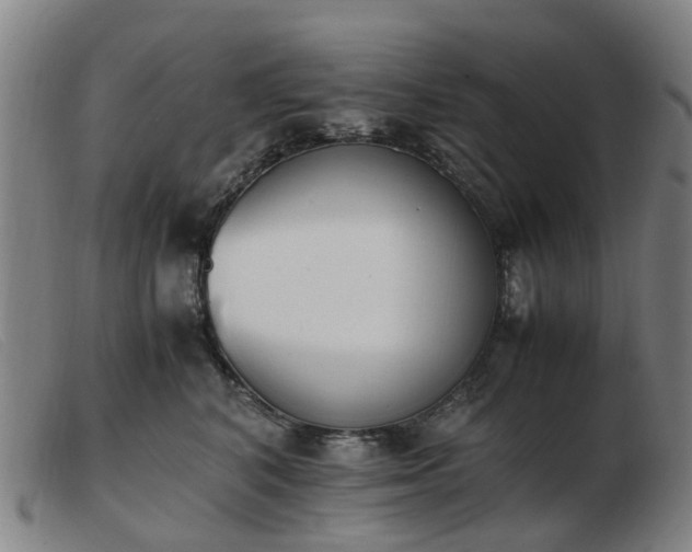 X0000103450616200809191749
