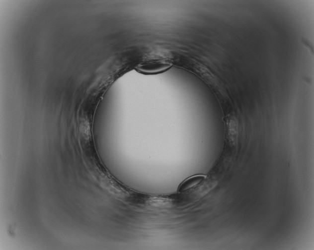 X0000103450617200809191749