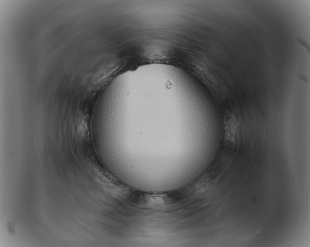 X0000103450618200809191749