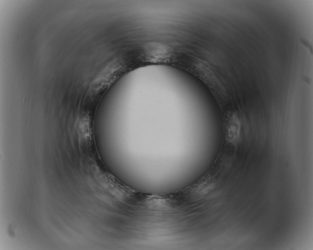X0000103450620200809191749