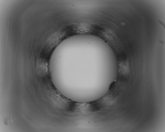 X0000103450621200809191749