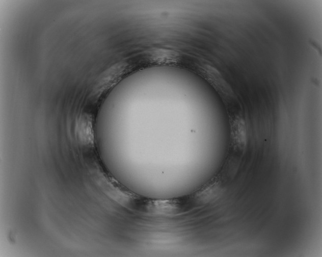 X0000103450622200809191749