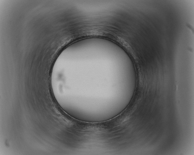 X0000103450625200809191748