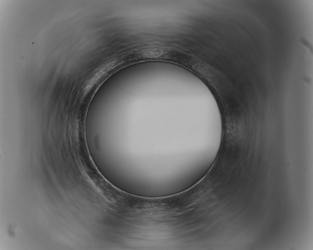 X0000103450626200809191748