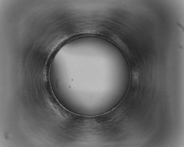 X0000103450628200809191748