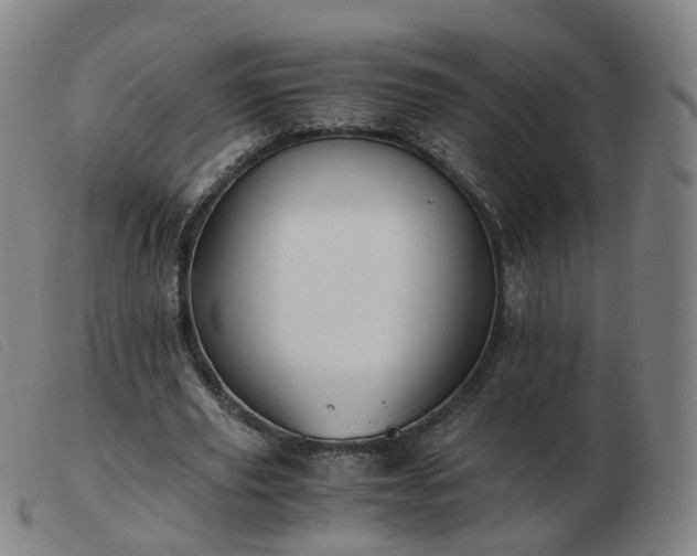 X0000103450629200809191748