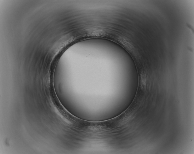 X0000103450630200809191748