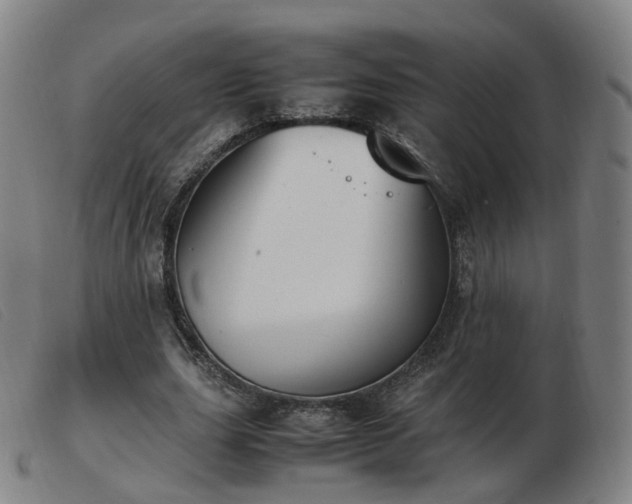 X0000103450631200809191748