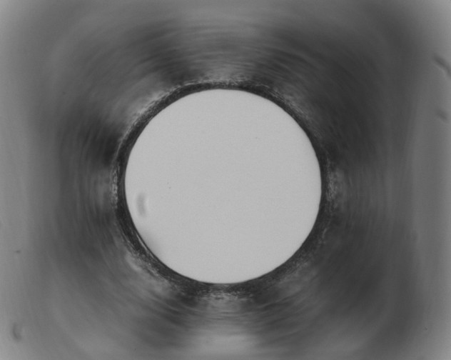 X0000103450632200809191748