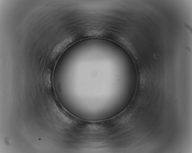 X0000103450633200809191748