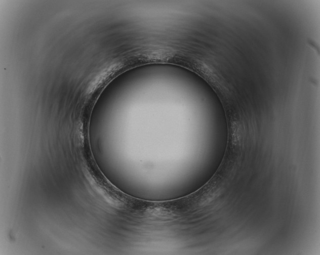 X0000103450634200809191749