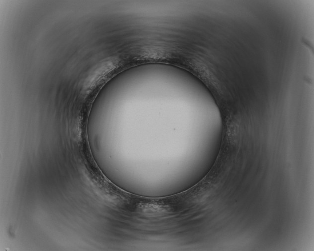 X0000103450635200809191749