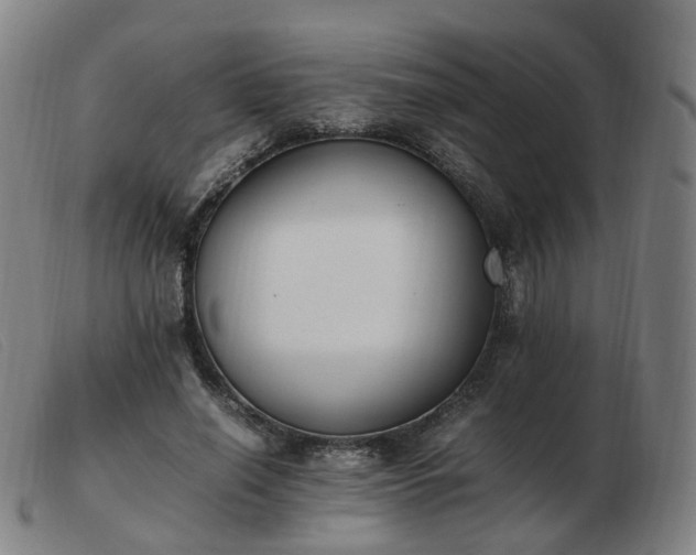 X0000103450638200809191749