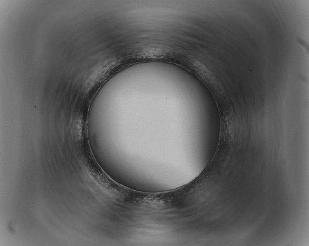 X0000103450640200809191749