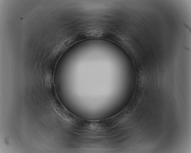 X0000103450641200809191749