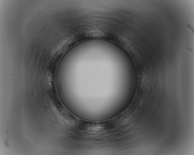 X0000103450643200809191749