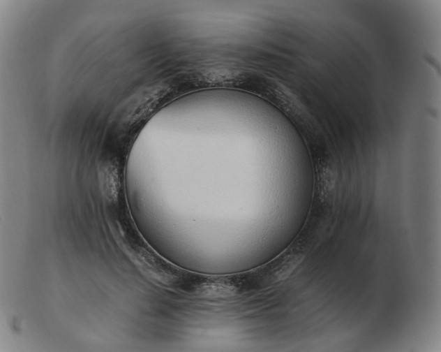 X0000103450644200809191749