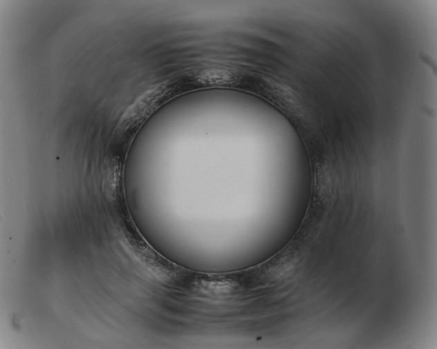 X0000103450645200809191749