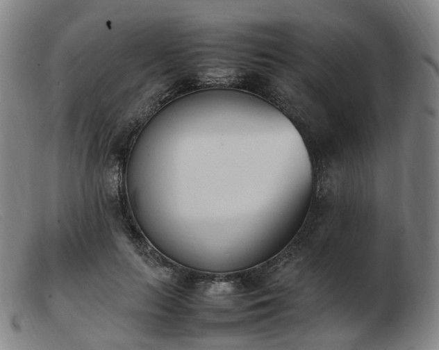 X0000103450647200809191749