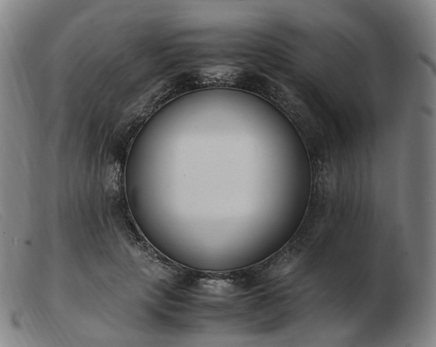 X0000103450649200809191749